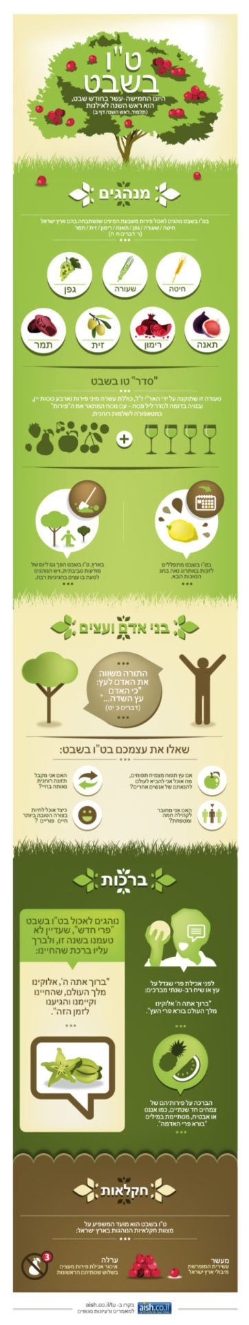 Tu B'Shvat: The 15th of the Hebrew Month of Shvat, is the "new year for trees" (Talmud - Rosh Hashanah 2a)